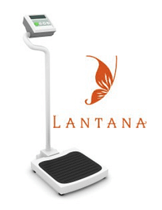 lantana weight loss