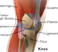 how to fix knee pain