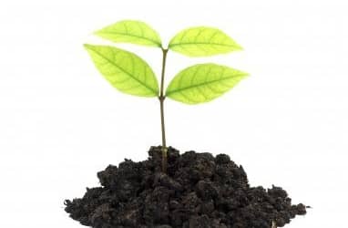 The Big Secret: Balancing your pH for Optimal Health