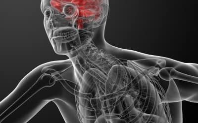 Fitness Psychology: Change Your Mind, Change Your Body, and Change Your Life