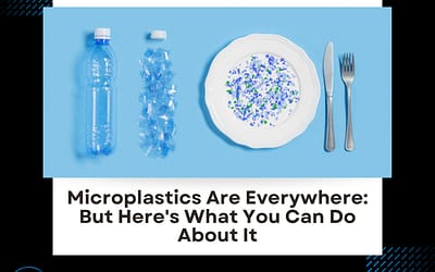 Microplastics Are Everywhere: But Here’s What You Can Do About It
