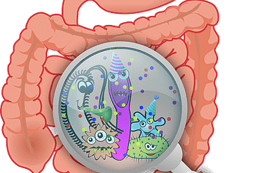 10 Reasons Your Digestion’s Derailed – a Natural Perspective from a Personal Trainer in Dallas