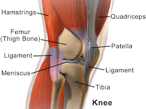 5 Reasons Your Knees Hurt, and How to Fix the Pain