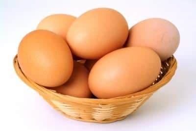 egg basket