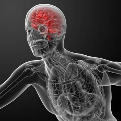 Fitness Psychology: Change Your Mind, Change Your Body, and Change Your Life