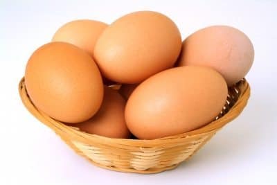 egg basket egg basket