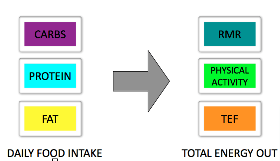 Thermic Effect of Food