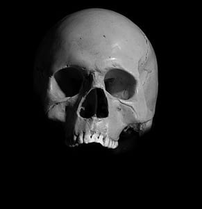 texas_suicides